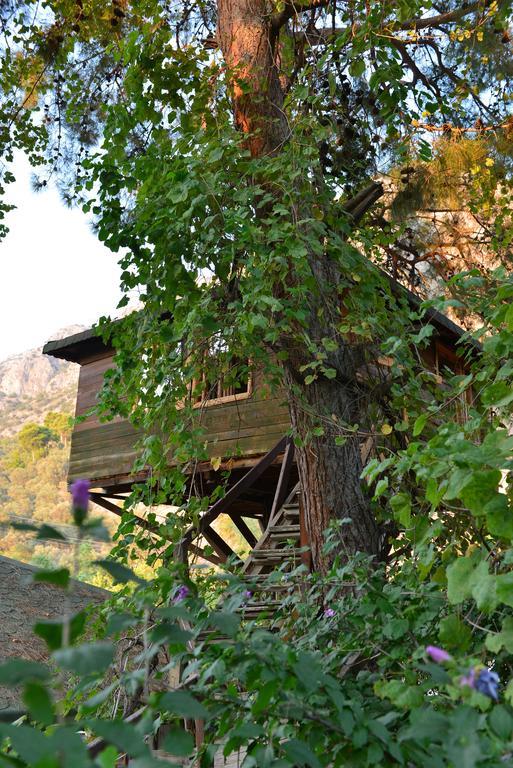 Отель Gorge Club Saklikent Номер фото