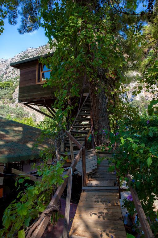 Отель Gorge Club Saklikent Номер фото